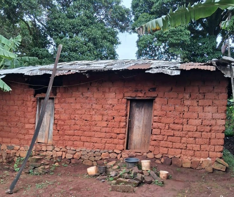 Pinyin house